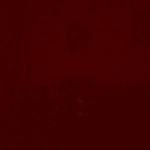 Meet your Posher, Kitty